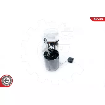 Unité d'injection de carburant ESEN SKV 02SKV754