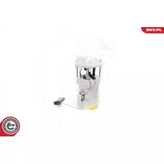 Unité d'injection de carburant ESEN SKV 02SKV755