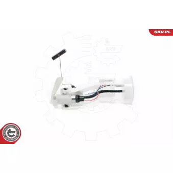 Unité d'injection de carburant ESEN SKV 02SKV756