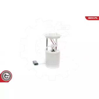 Unité d'injection de carburant ESEN SKV 02SKV760