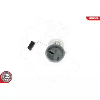 Unité d'injection de carburant ESEN SKV 02SKV762