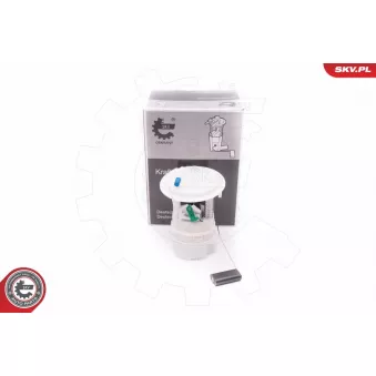 Unité d'injection de carburant ESEN SKV 02SKV777