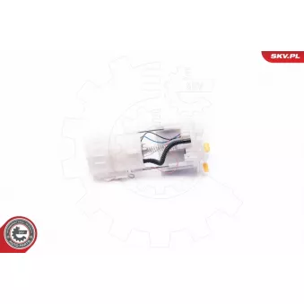 Unité d'injection de carburant ESEN SKV 02SKV780