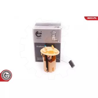 Unité d'injection de carburant ESEN SKV 02SKV786