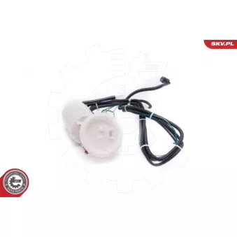 Unité d'injection de carburant ESEN SKV