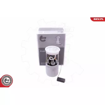 Unité d'injection de carburant ESEN SKV