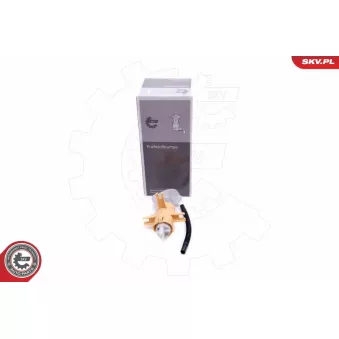 Unité d'injection de carburant ESEN SKV 02SKV800