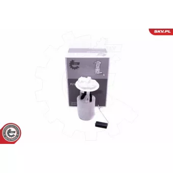 Unité d'injection de carburant ESEN SKV 02SKV801