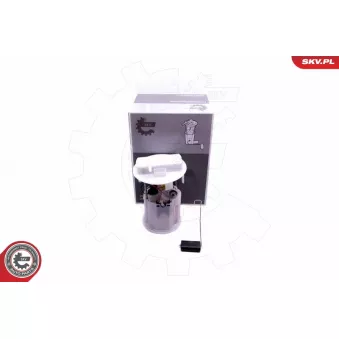 Unité d'injection de carburant ESEN SKV 02SKV802