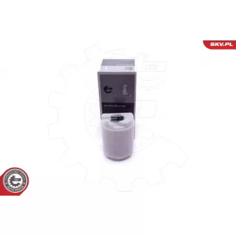 Unité d'injection de carburant ESEN SKV 02SKV807