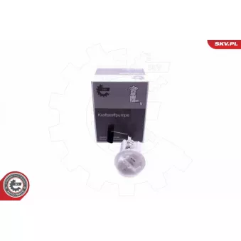 Unité d'injection de carburant ESEN SKV