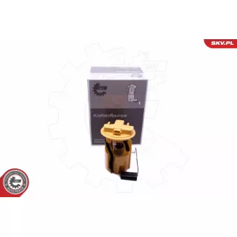 Unité d'injection de carburant ESEN SKV 02SKV809