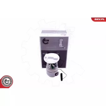 Unité d'injection de carburant ESEN SKV