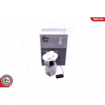 Unité d'injection de carburant ESEN SKV 02SKV811