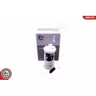 Unité d'injection de carburant ESEN SKV 02SKV812