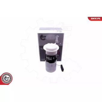 Unité d'injection de carburant ESEN SKV 02SKV814