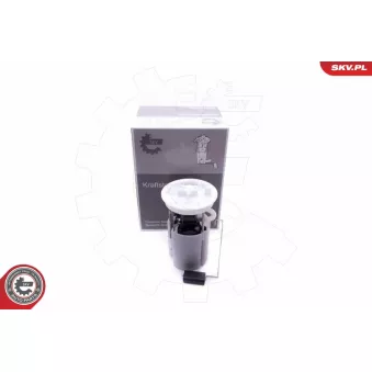 Unité d'injection de carburant ESEN SKV 02SKV817