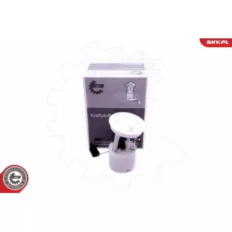 Unité d'injection de carburant ESEN SKV