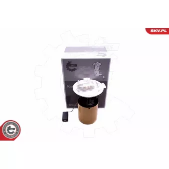 Unité d'injection de carburant ESEN SKV