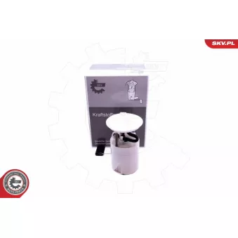 Unité d'injection de carburant ESEN SKV