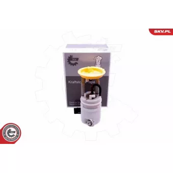 Unité d'injection de carburant ESEN SKV 02SKV828