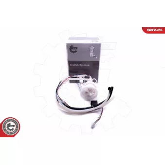 Unité d'injection de carburant ESEN SKV 02SKV829