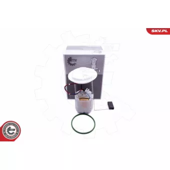 Unité d'injection de carburant ESEN SKV 02SKV830