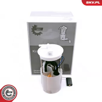 Unité d'injection de carburant ESEN SKV