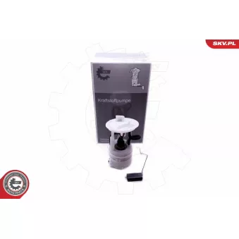 Unité d'injection de carburant ESEN SKV 02SKV837