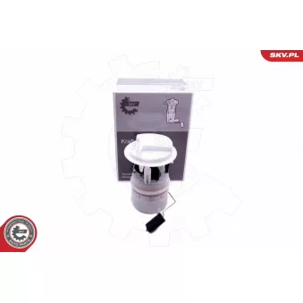 Unité d'injection de carburant ESEN SKV 02SKV838