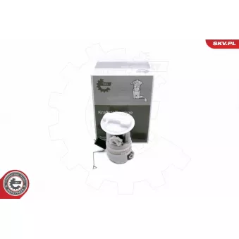 Unité d'injection de carburant ESEN SKV 02SKV839