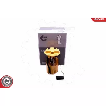 Unité d'injection de carburant ESEN SKV 02SKV841