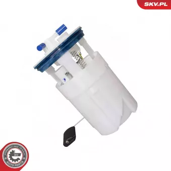 Unité d'injection de carburant ESEN SKV