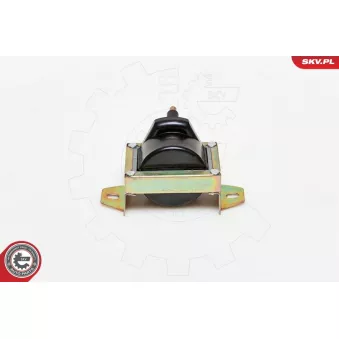 Bobine d'allumage ESEN SKV 03SKV119