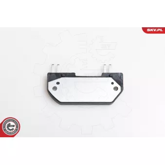Appareil de commande, système d'allumage ESEN SKV 03SKV906