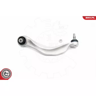 Triangle ou bras de suspension (train avant) ESEN SKV