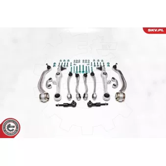 Kit de réparation, bras triangulaire ESEN SKV 04SKV100