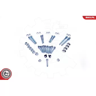 Boulon de fixation, bras transversal ESEN SKV