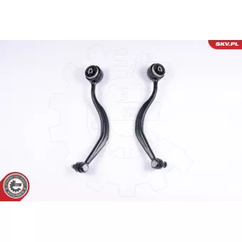 Kit de réparation, bras triangulaire ESEN SKV 04SKV160