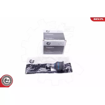 Rotule de suspension ESEN SKV 04SKV603
