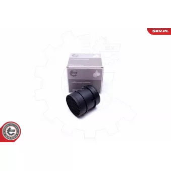 Débitmètre de masse d'air ESEN SKV 07SKV180