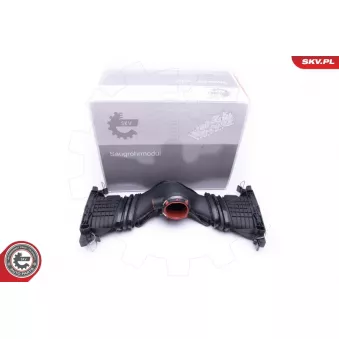 Module de tube d'admission ESEN SKV 07SKV996