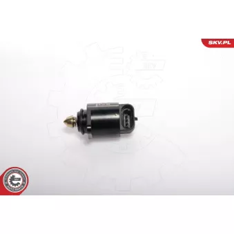 Controle de ralenti, alimentation en air ESEN SKV