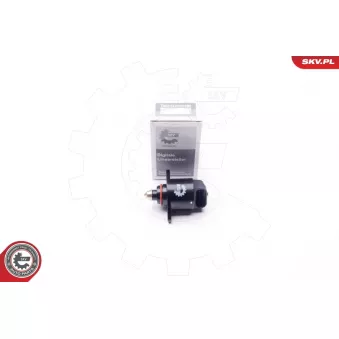 Controle de ralenti, alimentation en air ESEN SKV 08SKV002
