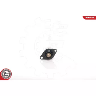 Controle de ralenti, alimentation en air ESEN SKV 08SKV004