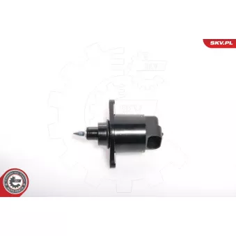 Controle de ralenti, alimentation en air ESEN SKV