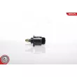 Controle de ralenti, alimentation en air ESEN SKV 08SKV007 - Visuel 1