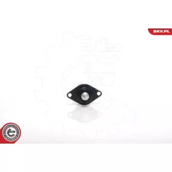 Controle de ralenti, alimentation en air ESEN SKV 08SKV008