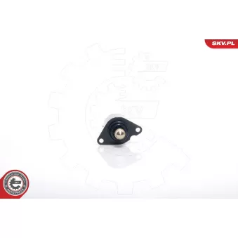 Controle de ralenti, alimentation en air ESEN SKV