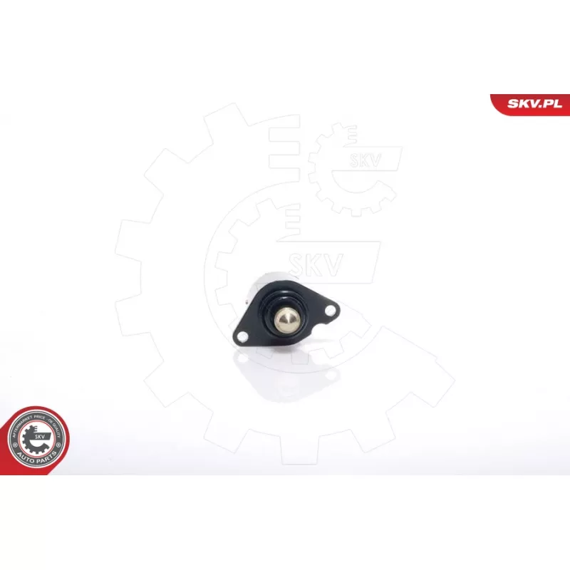 Controle de ralenti, alimentation en air ESEN SKV 08SKV017